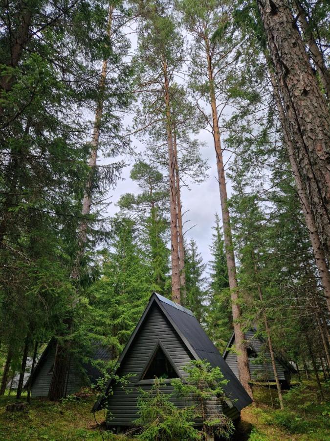 Liivakortsi Kaemping Hotel Romeda Kültér fotó