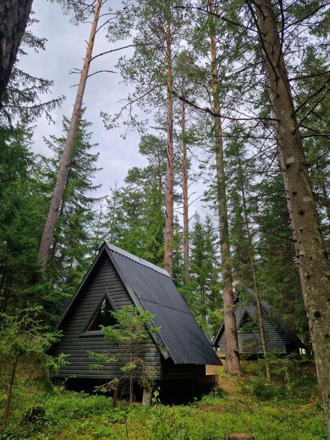 Liivakortsi Kaemping Hotel Romeda Kültér fotó