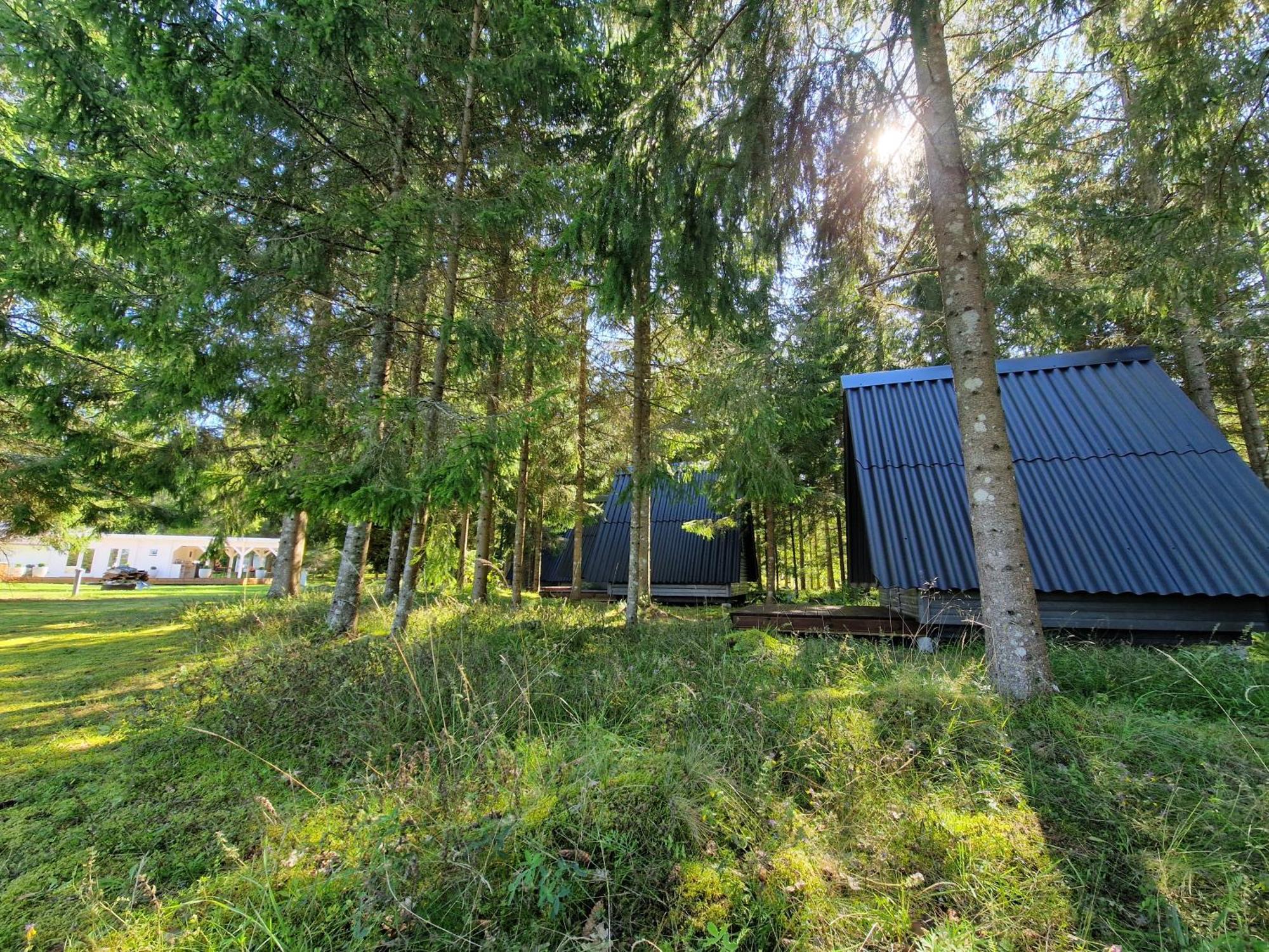 Liivakortsi Kaemping Hotel Romeda Kültér fotó